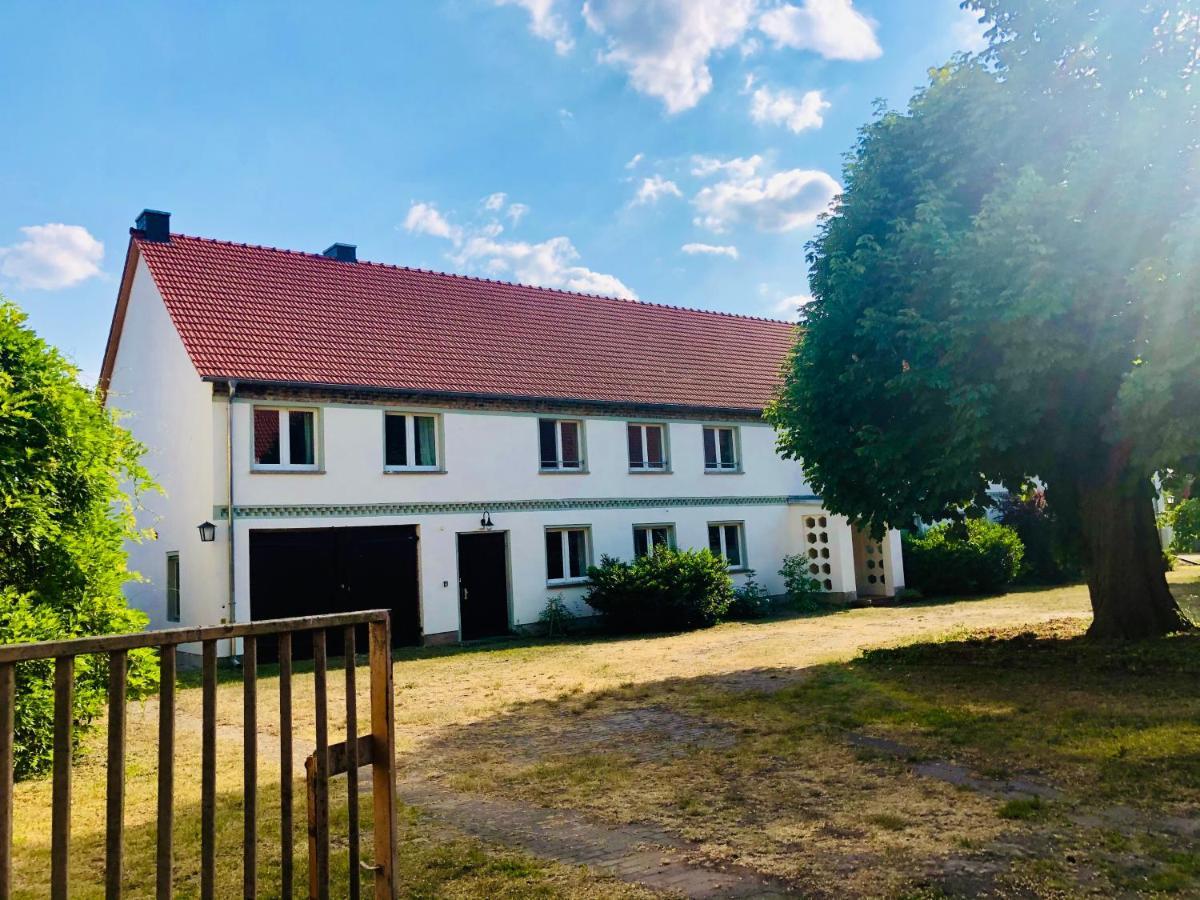 Neu - Ferien Auf Dem Bruderhof Am Pritzerber See Hohenferchesar Exteriör bild